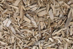 biomass boilers Dringhouses